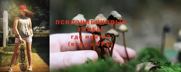 дживик Снежногорск
