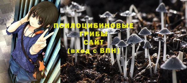 дживик Снежногорск