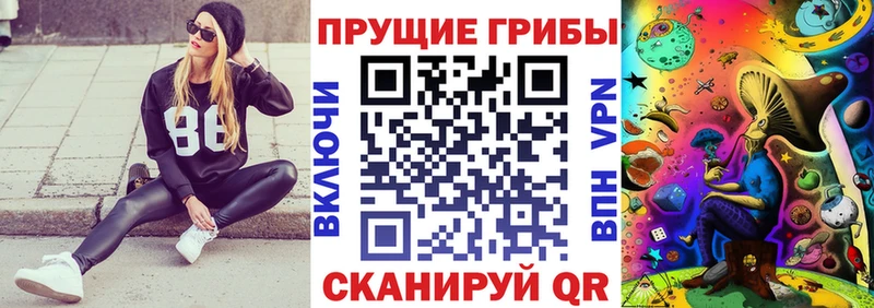 Псилоцибиновые грибы Psilocybine cubensis Славянск-на-Кубани